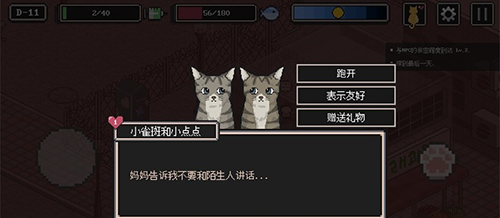 流浪猫的故事图片1