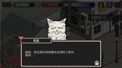 流浪猫的故事图片2