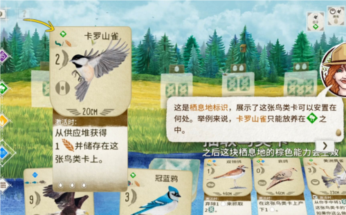 展翅翱翔1