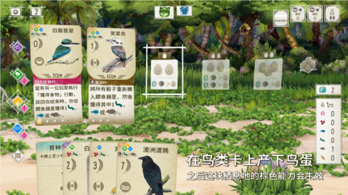 展翅翱翔2