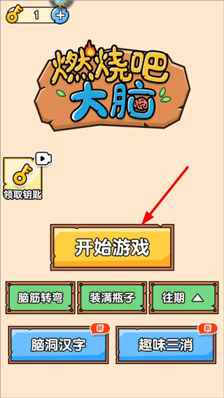 燃烧吧大脑游戏截图11